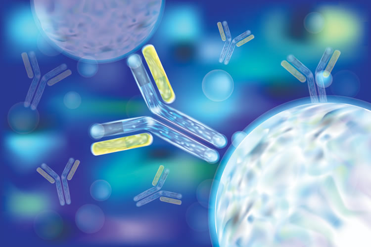 Microbiology Serology